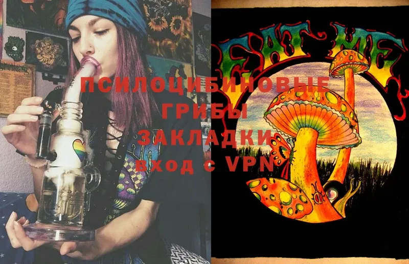 как найти закладки  Нефтекамск  Галлюциногенные грибы Cubensis 